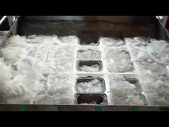 SHM pulpgegoten clamshell-boxmachine