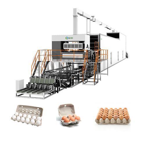 Volautomatische papieren eiertray die machine maakt | 3000–10000 stuks/uur productielijn voor eiertrays | SHM