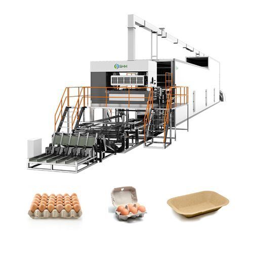 Volautomatische papier-eierdoos die machine maakt | Productielijn voor gegoten pulp-eierdozen | SHM