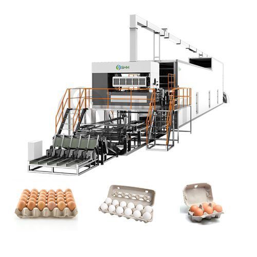 Volautomatische papier-eierdoos die machine maakt | Productielijn voor gegoten pulp-eierdozen | SHM
